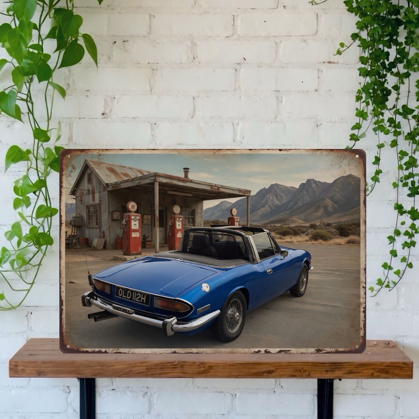 Your car, old petrol station & mountains, landscape Tin Sign