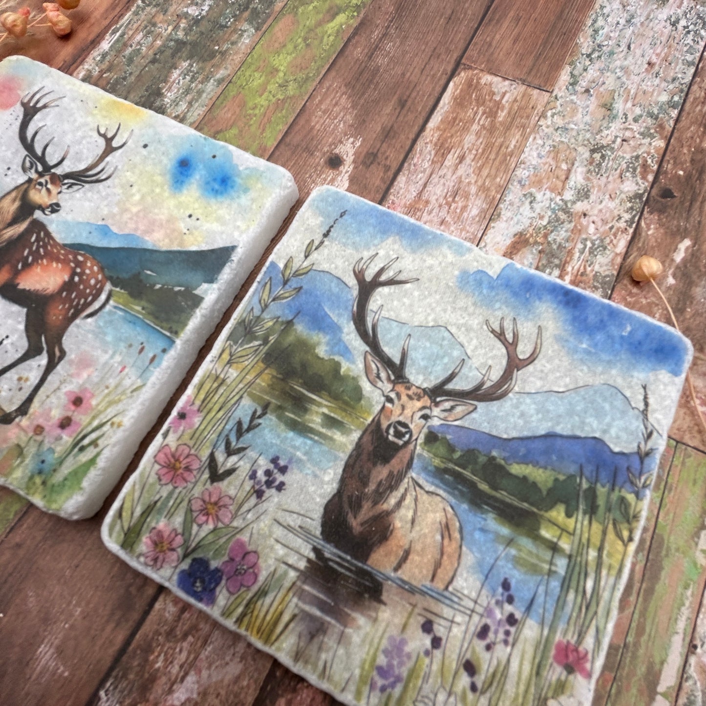 2 Mountain Stag Coasters