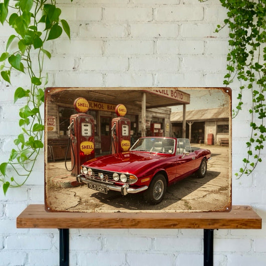 Your car at an old petrol station landscape Tin Sign